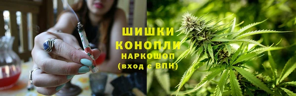 каннабис Аркадак