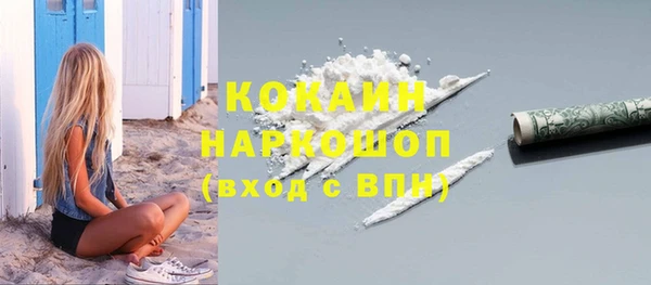 твердый Арсеньев