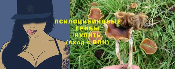 твердый Арсеньев