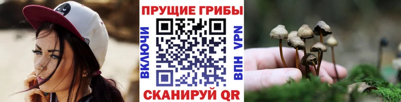 наркота Починок Галлюциногенные грибы прущие грибы